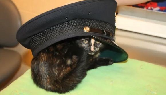 cap