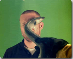 ウナギで思う存分人の顔をひっぱたいてみよう「EEL SLAP」