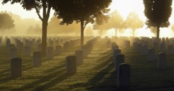 墓地から流れ出すヒ素。海外における遺体埋葬とヒ素の歴史。