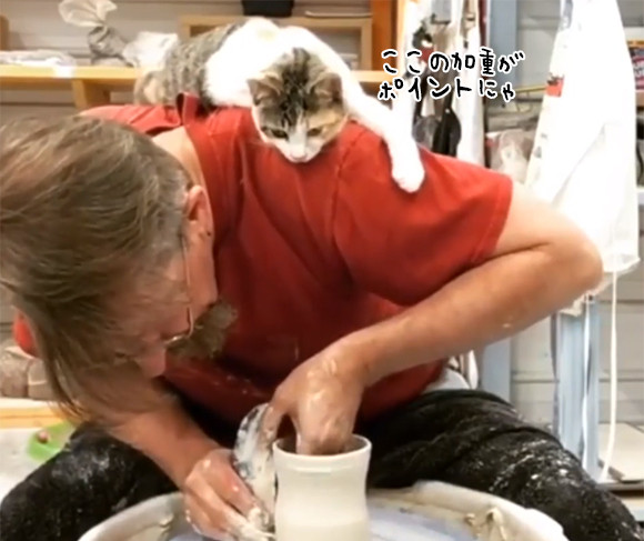 猫師匠、陶芸をする男性の肩に張り付いて熱心指導？猫を乗せたまま作品作りに没頭する男性もすごい！