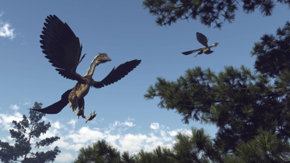 恐竜と鳥をつなぐミッシングリンクはどのようにして発見されたのか？