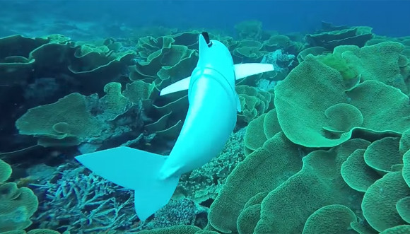 魚そっくりにスイスイ泳ぐ！水中の食物連鎖に巻き込まれるかも？海中を泳ぐフィッシュロボ「SoFi」