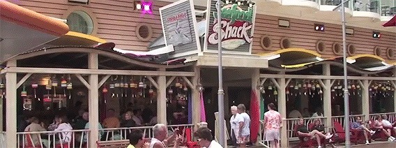 イッツ・ア・スモールワールド！！船がまるごと街のような世界最大の豪華客船「オアシス・オブ・ザ・シーズ」