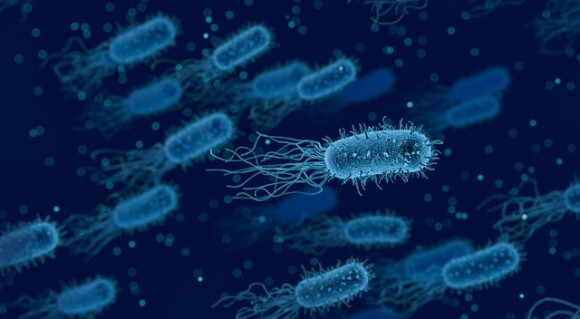 bacteria-3662695_640_e
