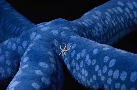 national_geographic_20