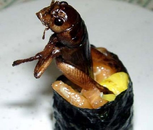 sushi_01