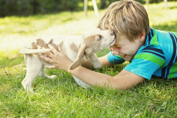 犬に悩みを打ち明けることで心の健康が改善されるという研究結果