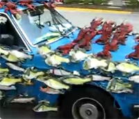 50秒の再生時間に君は耐えられるか？踊る魚とロブスターを大量に装着した混沌車