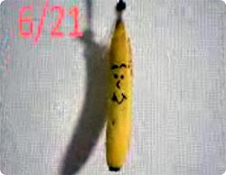 バナナを1ヶ月間放置して観察してみた