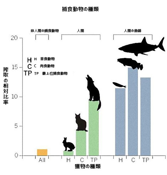 Why Do Cats Like Fish More Than Other Meat Why Do Cats Like Fish More Than Other Meat