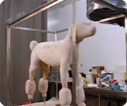 pet