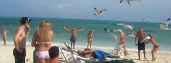 海辺で繰り広げられる恐怖、「ヒッチコック」な光景