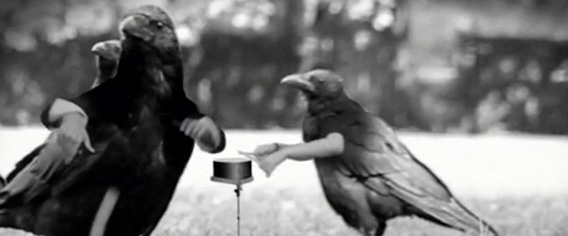 もしカラスが進化して人間のような手を持ち始めたら？「Staring Out The Window - Fulton Lights」