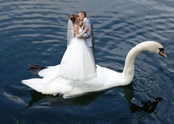 wedding13_e