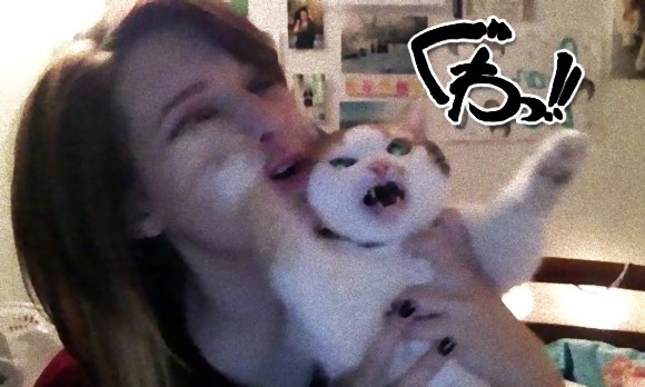 うわなにをするやめろ！自撮りに巻き込まれたくない猫たちの写真ギャラリー