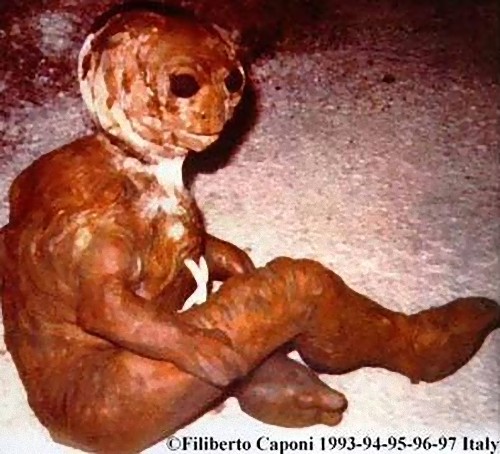 alien-25_e