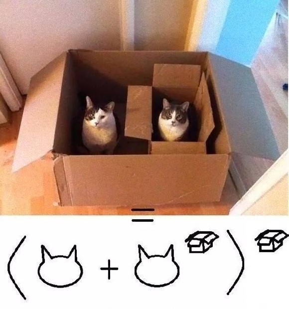 猫好き理系の為の猫数学、この猫公式は間違っている？