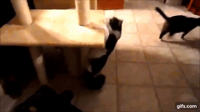 climbing