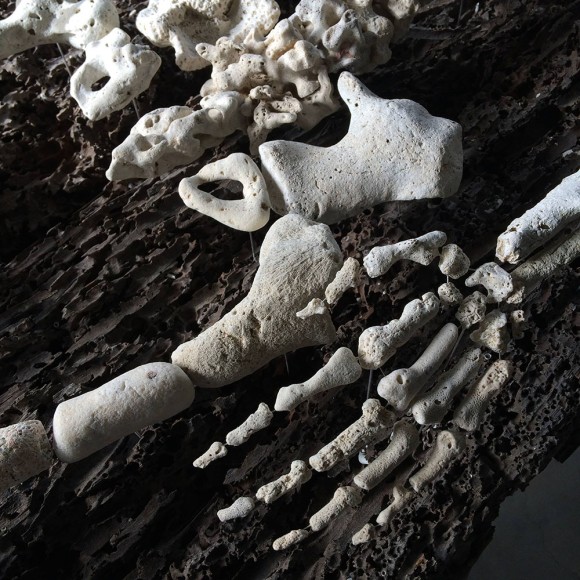 珊瑚（サンゴ）の骨格が人間の骨格になるとき。珊瑚から作る等身大の人骨標本
