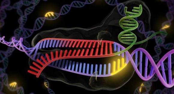 科学の名のもとに、とはいうものの・・・現代における不穏な10の科学実験