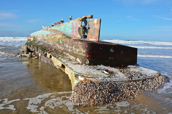 東北地方太平洋沖地震から６年、津波で流された漁船がアメリカ・オレゴン州の浜辺で発見される