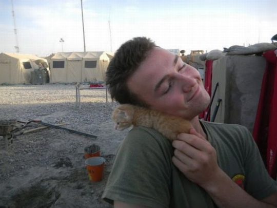 kittens_found_by_us_marines_in_afghanistan_01