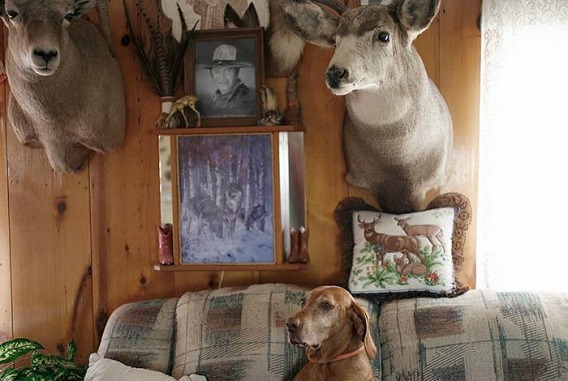 old_dogs_07