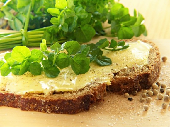 やっぱクレソンって最強の野菜。ストレスを軽減し精子の増加に効果があることが判明（英研究）