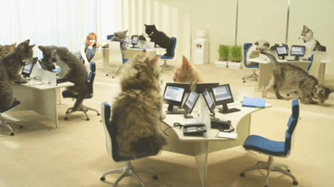 anigif_enhanced-15037-1391625319-13