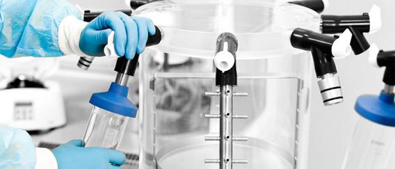 フリーズドライ（凍結乾燥）させた精子から子どもを作ることに成功。精子の冷蔵庫長期保存が可能に（京都大医学研究科）