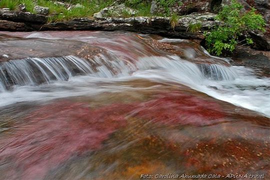 rainbow_river_15