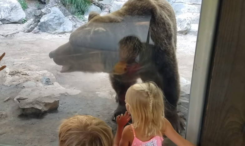 確信犯だな。動物園のクマ、子どもたちに文字通り「くそったれ！」を披露（アメリカ）