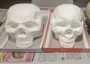 7423f98d.jpg