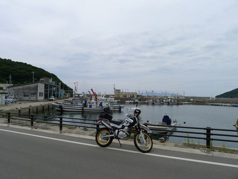 P1260632r