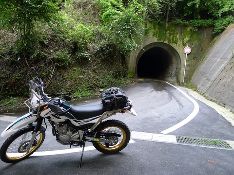 P1260854r