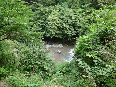 P1260723r