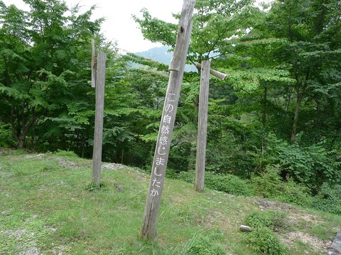 P1260779r