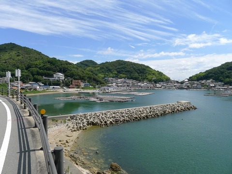 P1260592r