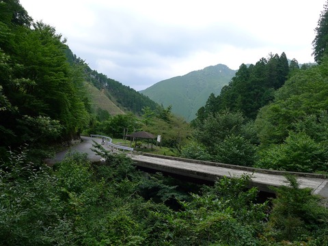 P1260786r