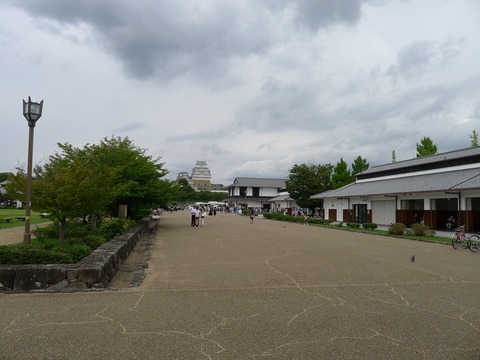 P1260646r
