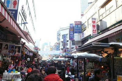 P1020239