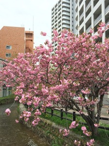 2016-05-15-10-24-14