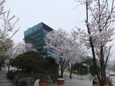 DSCF4854