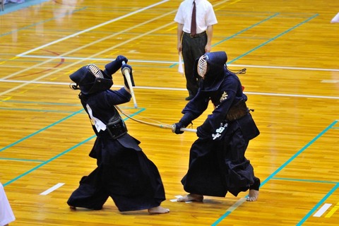 DSC_8645_convert_20140619095000