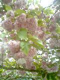040528_1100~0001.jpg