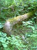 040628_1306~0001.jpg
