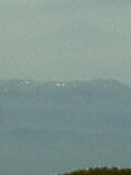 041018_1229~0001.jpg