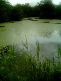 040628_1514~0001.jpg