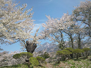 SH3I0137