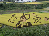 田んぼアート